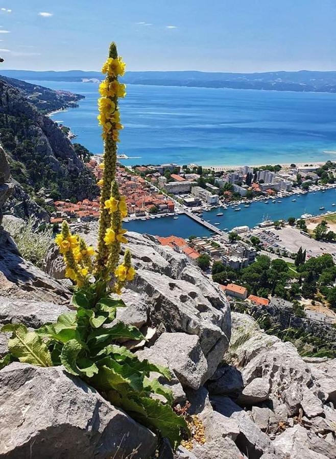 Amazing Sea View Apartment Omiš Exterior foto